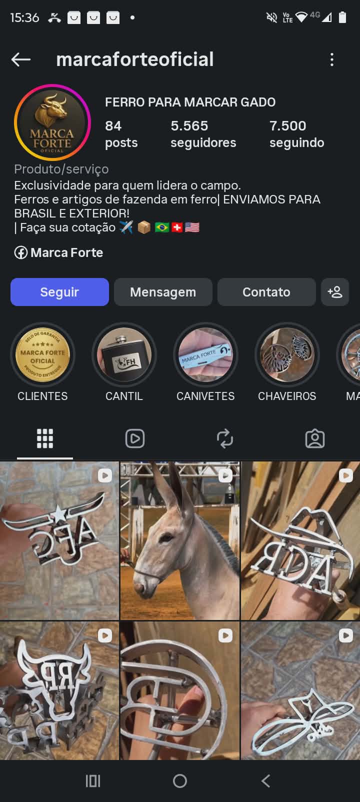 Perfil @marcaforteoficial no Instagram — Marca Forte Ferro para Marcar Gado